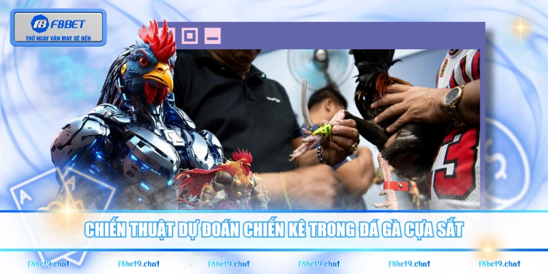 Chiến thuật dự đoán chiến kê trong đá gà cựa sắt
