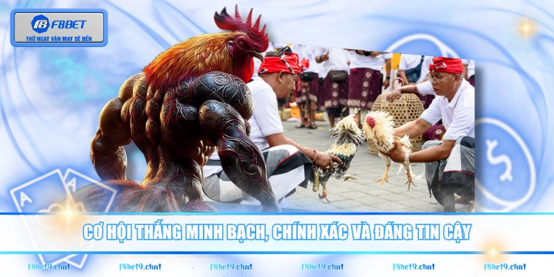 Cơ hội thắng minh bạch, chính xác và đáng tin cậy