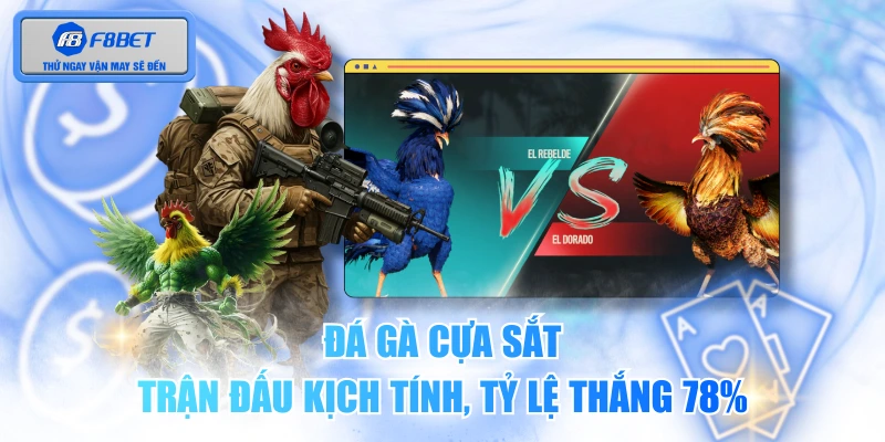 Đá Gà Cựa Sắt - Trận Đấu Kịch Tính, Tỷ Lệ Thắng 78%