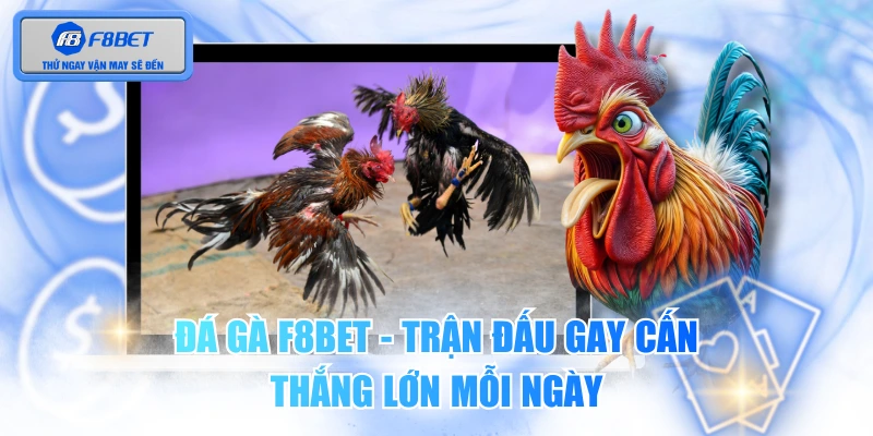 Đá gà F8BET - Trận Đấu Gay Cấn, Thắng Lớn Mỗi Ngày