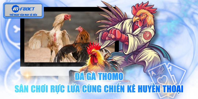Đá gà Thomo - Sân Chơi Rực Lửa Cùng Chiến Kê Huyền Thoại