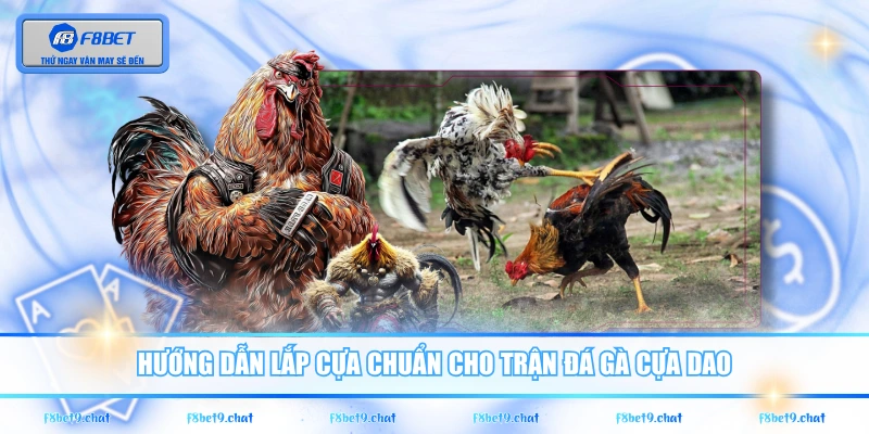 Hướng dẫn lắp cựa chuẩn cho trận đá gà cựa dao